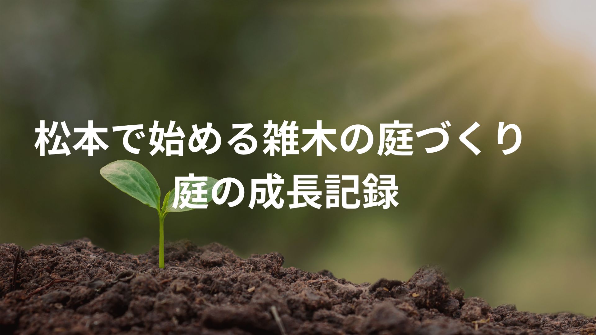 松本で始める雑木の庭づくり ―雑木の庭の成長記録