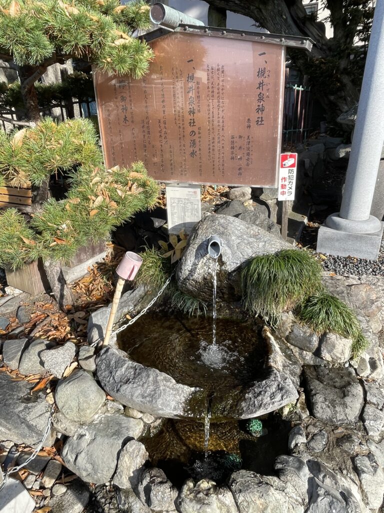 槻井泉神社の湧水