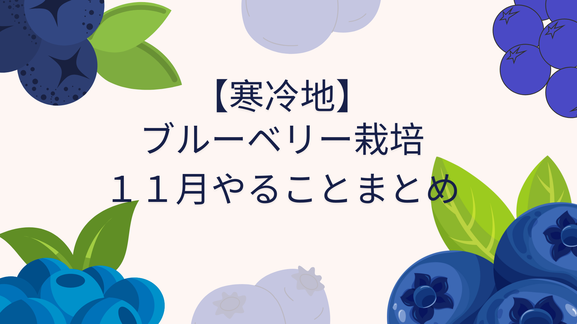 【ブルーベリー栽培】11月やることまとめ【寒冷地・松本市】