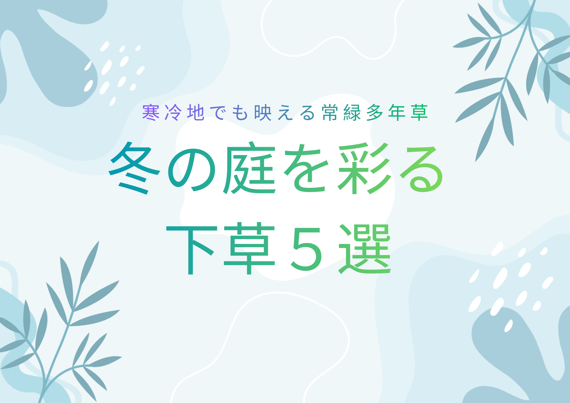 冬の庭を彩る下草5選｜松本の寒い冬でも映える常緑多年草
