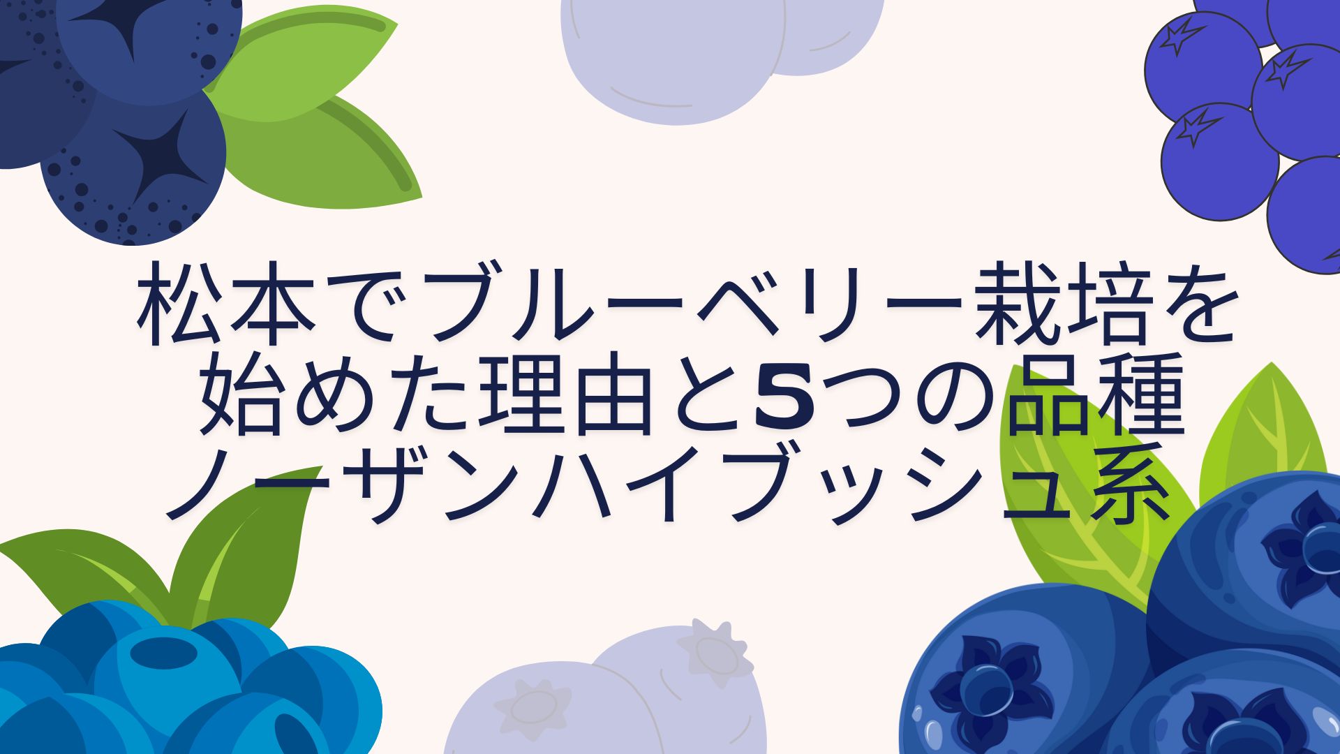松本でブルーベリー栽培を始めた理由と5つの品種― ノーザンハイブッシュ系