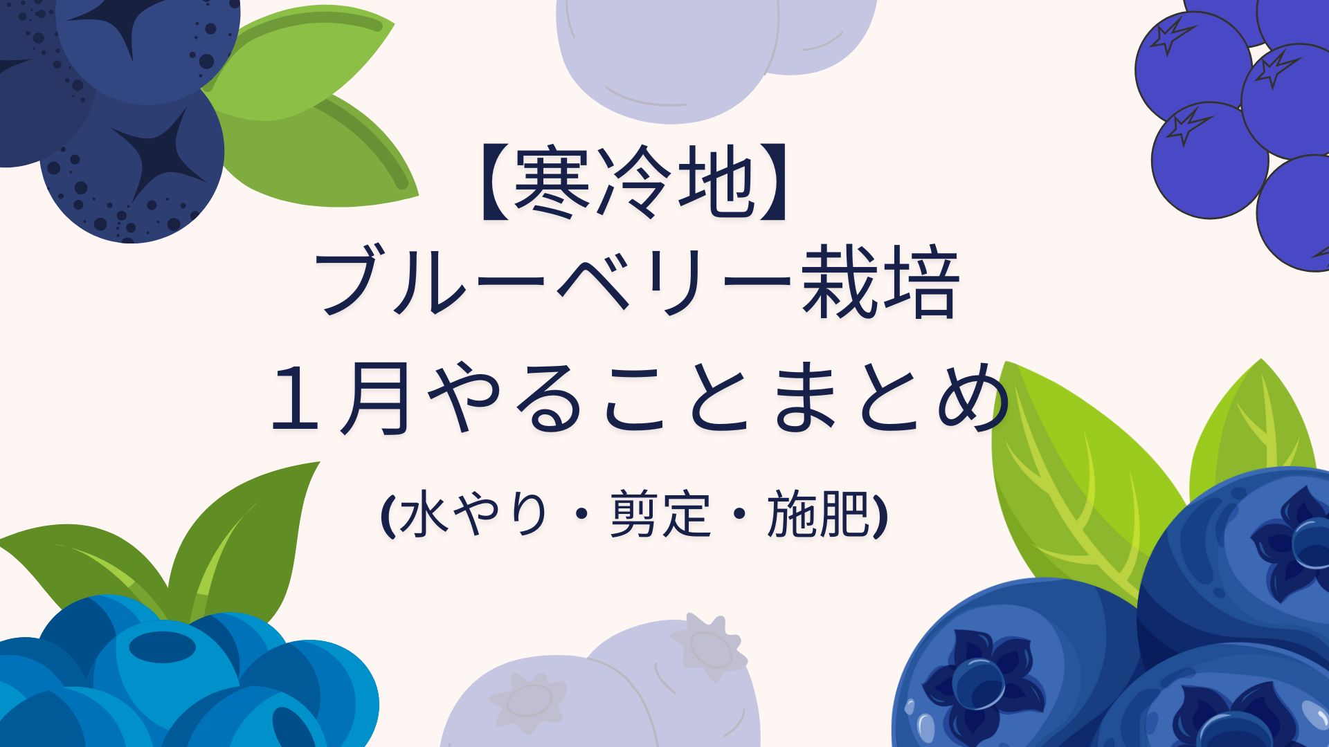 【1月】ブルーベリーの作業まとめ｜寒冷地での管理ポイント