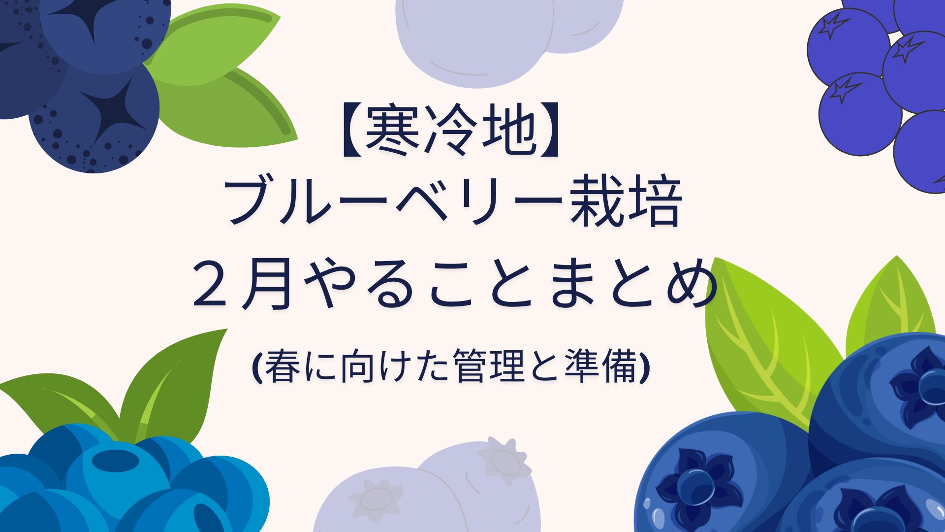 【2月】ブルーベリー作業まとめ｜寒冷地で失敗しない春に向けた管理と準備