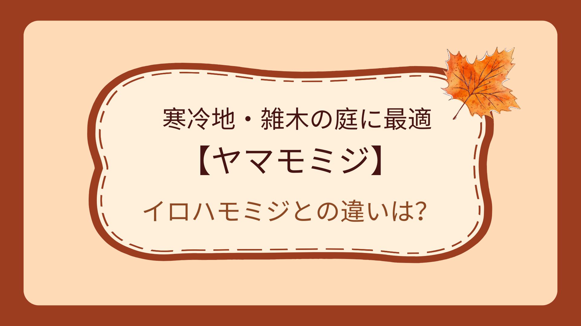 【ヤマモミジの特徴】イロハモミジとの違いは？寒冷地・雑木の庭に最適