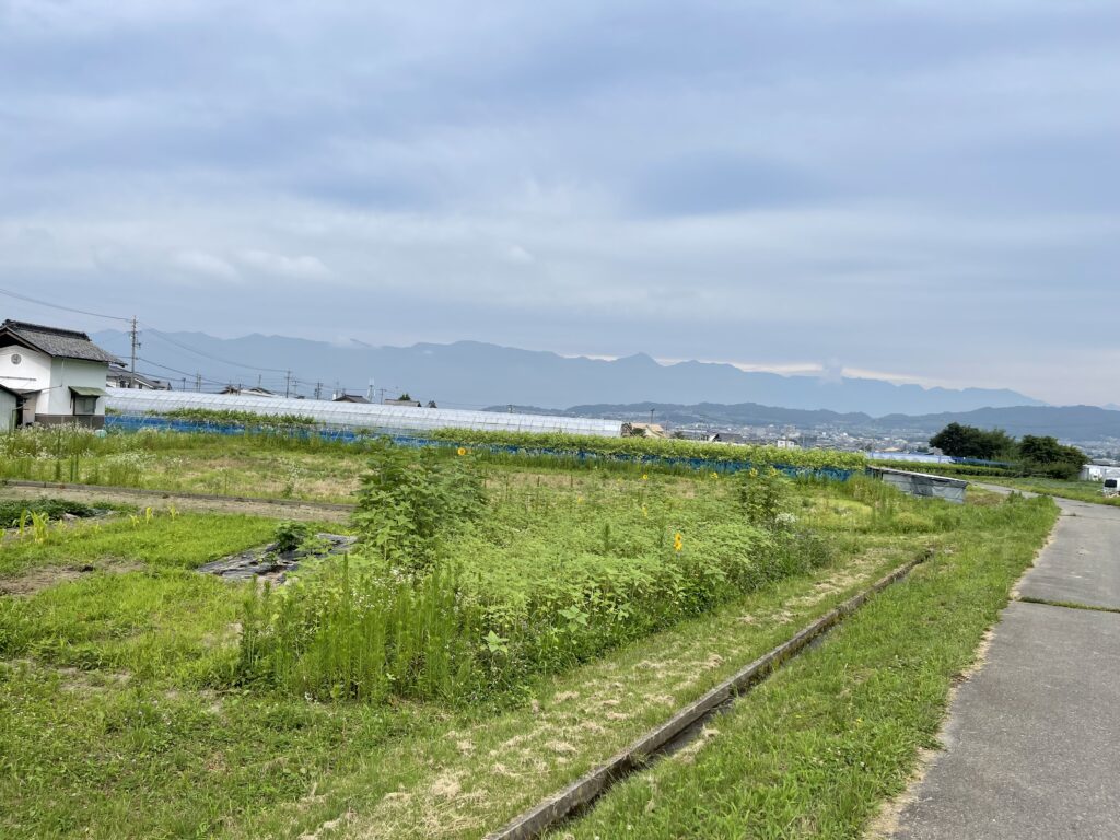 農地からの北アルプス