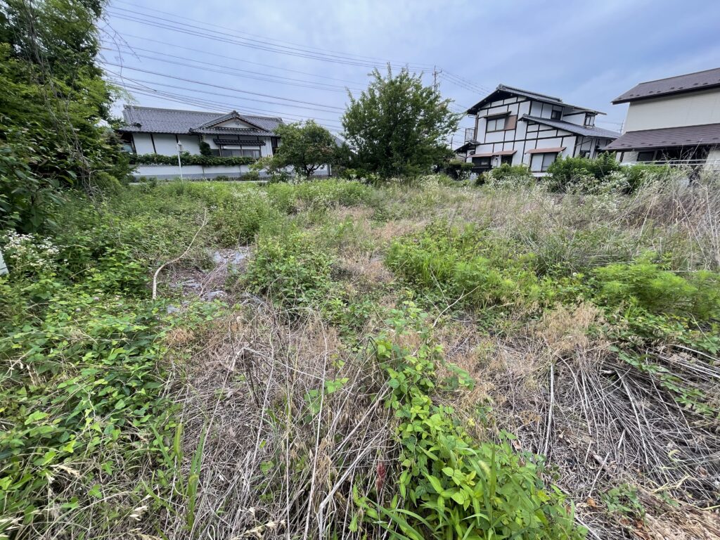 里山辺の農地