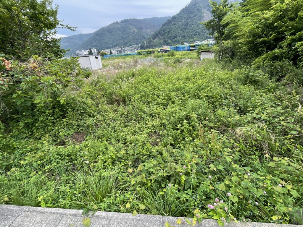 農地（里山辺）